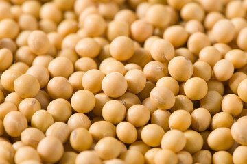 Soybean seeds grain texture background.