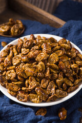 Fried Silkworm chrysalis on table,a high protein food.