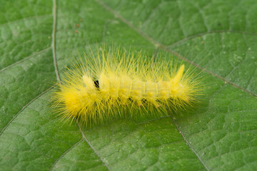 Paper box, cardboard stack, cardboard boxes paper work
