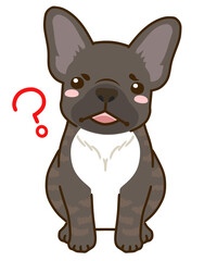 疑問に思うフレンチブルドッグ（ブリンドル）