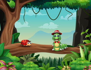 Cartoon a caterpillar and ladybug in the forest © dreamblack46