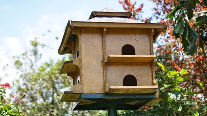 wooden bird house
