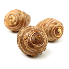 Taro on a white background