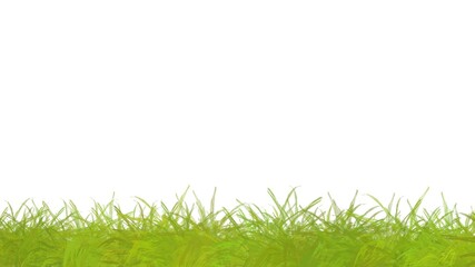 Obraz premium 草フレーム素材 グリーン