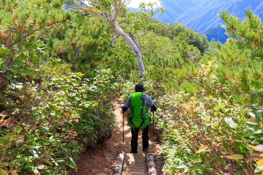 燕岳合戦尾根ルートの登山道を進む男性
