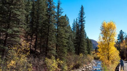 Hiker photographs fall colors along the Pecos River in Carson National Forest in the Sangre de Cristo Mountains of New Mexico