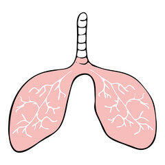 Human lungs. Doodle icon. Drawing by hand. Vector illustration.