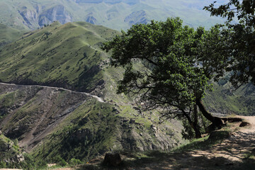 Fototapeta premium Ancient ruined settlements in the Caucasus. Dagestan.