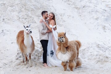 Beautiful wedding couple bride and groom at wedding day outdoors at ocean beach. Happy marriage couple o