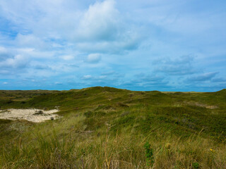 Fototapeta na wymiar Panoramic view of summer landscape with slopes and small hilly on the dunes of Texel salt marsh area National Park, Dutch North sea coastline, De Koog, Texel Island, Noord Holland, Netherlands