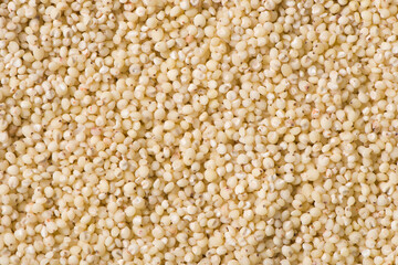 grain sorghum seed rice texture background. 