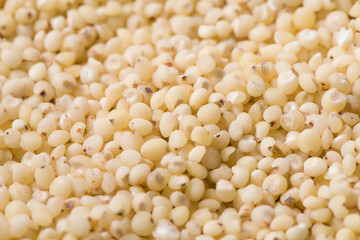 grain sorghum seed rice texture background. 