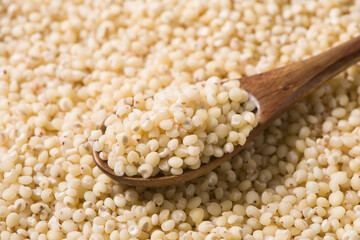 grain sorghum seed rice in spoon background. 