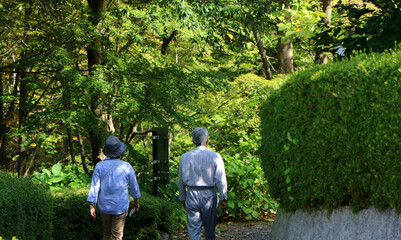 Obraz premium 公園を散歩する老夫婦