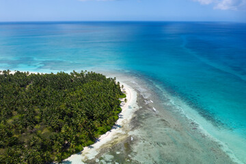 Saona island with coconut palm trees and turquoise caribbean sea. Dominican Republic. Aerial view