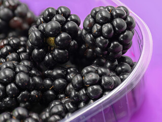 fresh blackberries in plastic bowl, close up, isolated on purple background