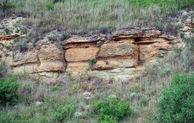 Rock outcropping in the hill in the form of limestone layers overgrown with grass. Unusual landscape in the non-rocky area.