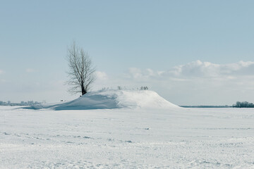 Alone tree in the middle of a frozen white snowy river. Winter landscape with a tree