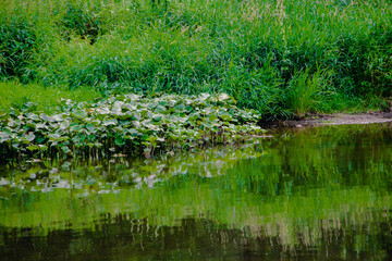 Sverdlovsk region. Sloboda. Chusovaya River