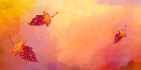 Bright autumn background with leaves for design