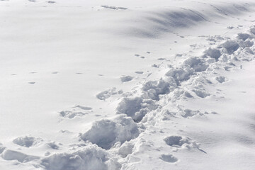 close up on tracks of a hiker in fresh snow