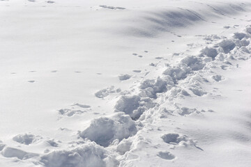 Fototapeta na wymiar close up on tracks of a hiker in fresh snow