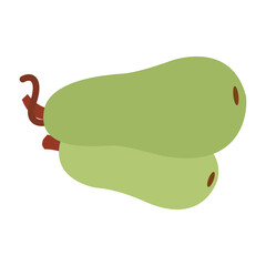 Cartoon vector image of two fresh pears, illustration design