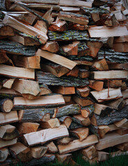 Piles of hard wood from trees used to make charcoal or burned in a fireplace.