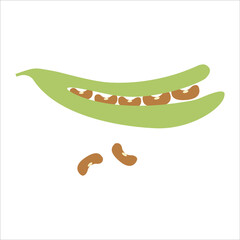 Illustration of open-shelled peas in flat design.