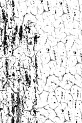 The grunge texture is black and white. Vector monochrome background