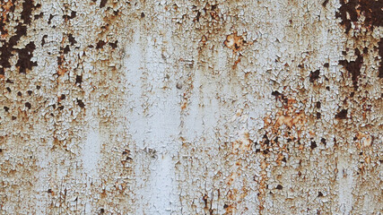 Fototapeta premium Close-up of rust on white metal sheet, Ruins of metal and the rust on the surface, Brown rustic peel off from the surface of iron plate, Damaged iron from oxidation of air and water