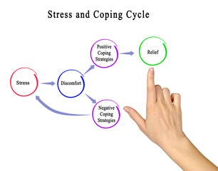  Presenting Stress and Coping Cycle