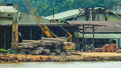 Timber loaded into big barge then drag by a tugboat cruising Mahakam River, Borneo, Indonesia