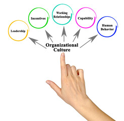 Five facets of Organizational Culture