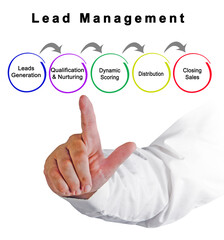 Five Components of  Lead Management