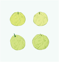 Tropical green Taiwanese Guava with different angles in cute realistic illustration art design 