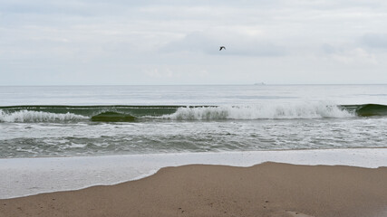 sand beach and sea in Rewa