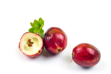 Cranberries isolated on white with green leaf, half with seeds and whole fresh red fall berry