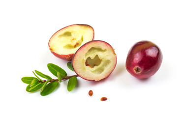 Cranberries isolated on white with green leaf, half with seeds and whole fresh red fall berry