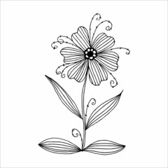 Hand drawn flower single doodle element for coloring, black and white vector image