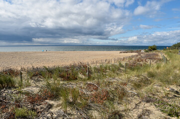 Fototapeta na wymiar sand dunes on the beach on hel