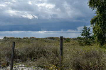 Fototapeta premium sand dunes on the beach on hel
