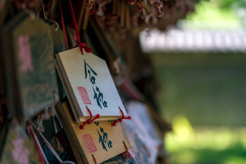 ”Pass an exam"Ema - Small wooden plaques at Shinto Shrine, Tokyo. English Translation: "Pass an exam"