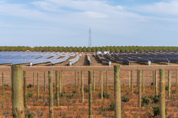 Solar panels in between farmland in Victoria's Mallee region