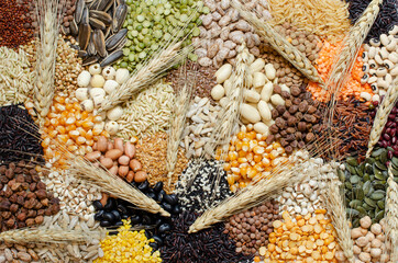 Variety kinds of natural cereal and grain seed product with dry wheat ear, for healthy food...