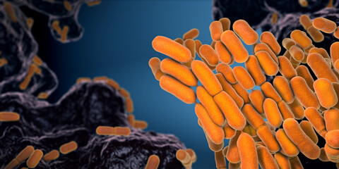 Yellow colored Escherichia coli bacteria found in the intestine and feces - 3d illustration - obrazy, fototapety, plakaty