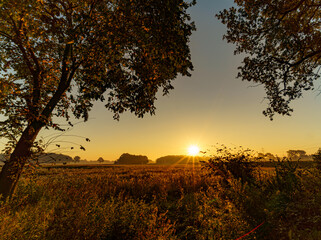 Fototapeta na wymiar Nebliger Morgen auf einem Feld im Sonnenaufgang