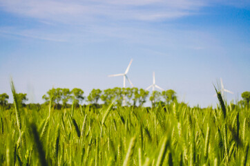 Wind turbines farm Grain land