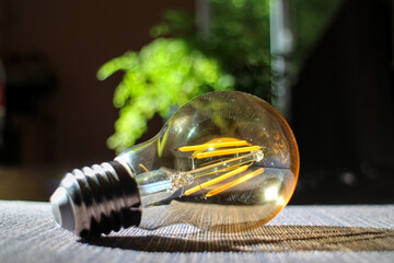 light bulb energy saving energy-saving technology Yellow LED Filament vintage accent environment friendly green 
