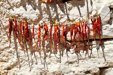 Peppers, chili peppers hanging in the sun to dry